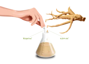 Een hand houdt een druppelaar vast en voegt vloeistof toe aan een flesje met een bruine substantie, met daarnaast een gedroogde wortel. Dit stelt Ashwagandha KSM-66® en Bioperine® van Vitakruid voor, verkrijgbaar in 60 vega capsules.
