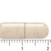 Een capsule van Vitakruid - Ashwagandha KSM-66® & Bioperine® (60 vega capsules) wordt op een meetschaal weergegeven en is ongeveer 2 centimeter lang.