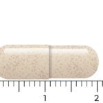 Een capsule van Vitakruid - Ashwagandha KSM-66® & Bioperine® (60 vega capsules) wordt op een meetschaal weergegeven en is ongeveer 2 centimeter lang.