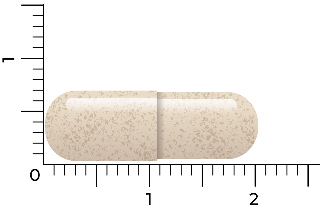 Een capsule van Vitakruid - Ashwagandha KSM-66® & Bioperine® (60 vega capsules) wordt op een meetschaal weergegeven en is ongeveer 2 centimeter lang.