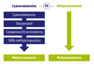 Vergelijkingsdiagram van Vitakruid - Multi Dag & Nacht® Mama (2 x 30 tabletten) laat zien dat cyanocobalamine in vier stappen wordt omgezet in methylcobalamine, waarbij methylcobalamine direct beschikbaar is.