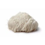 Lions Mane paddenstoel supplement